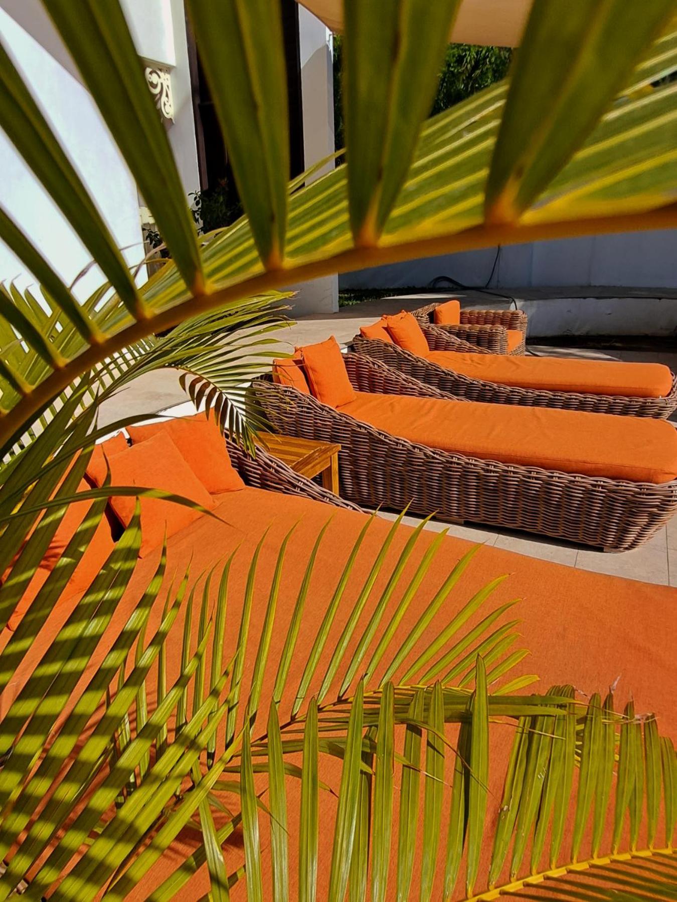 Le Nautile Beachfront Saint-Gilles-les Bains Eksteriør billede